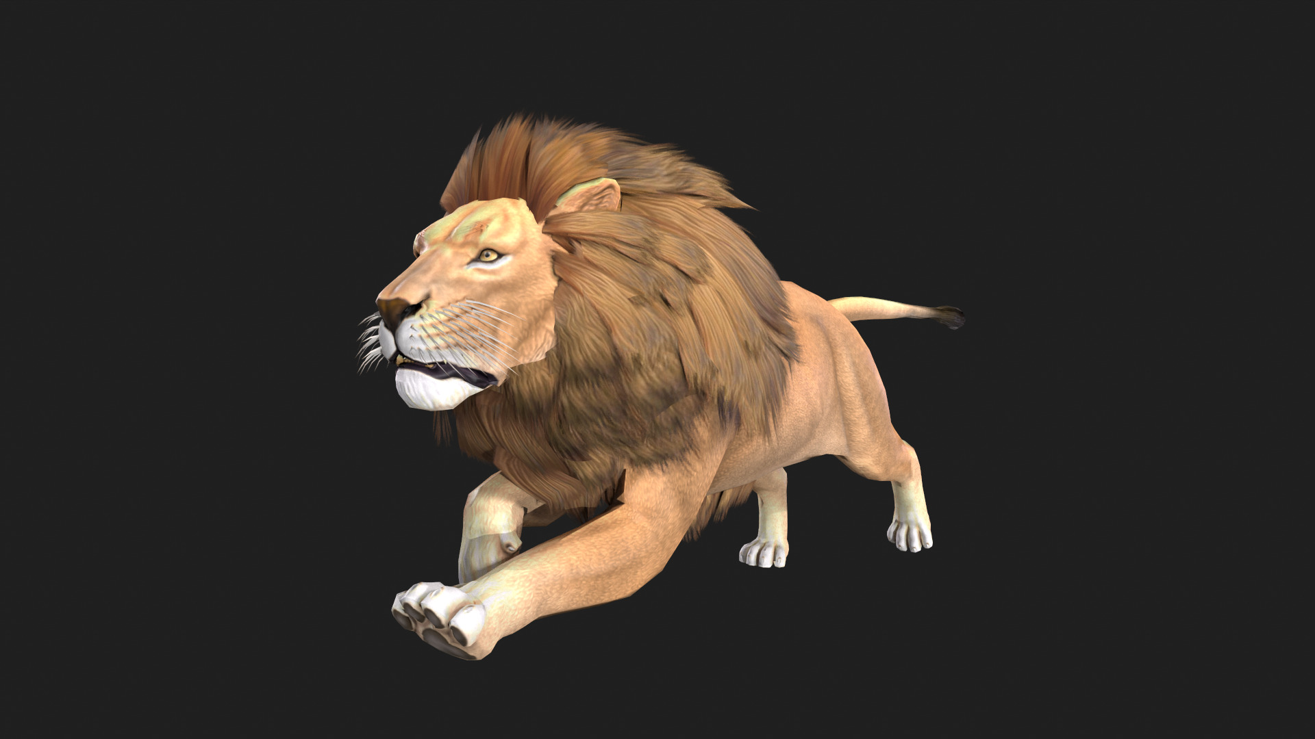 Realistic Lion Rigged and Animated for VR AR Games Low-poly 3D model_4