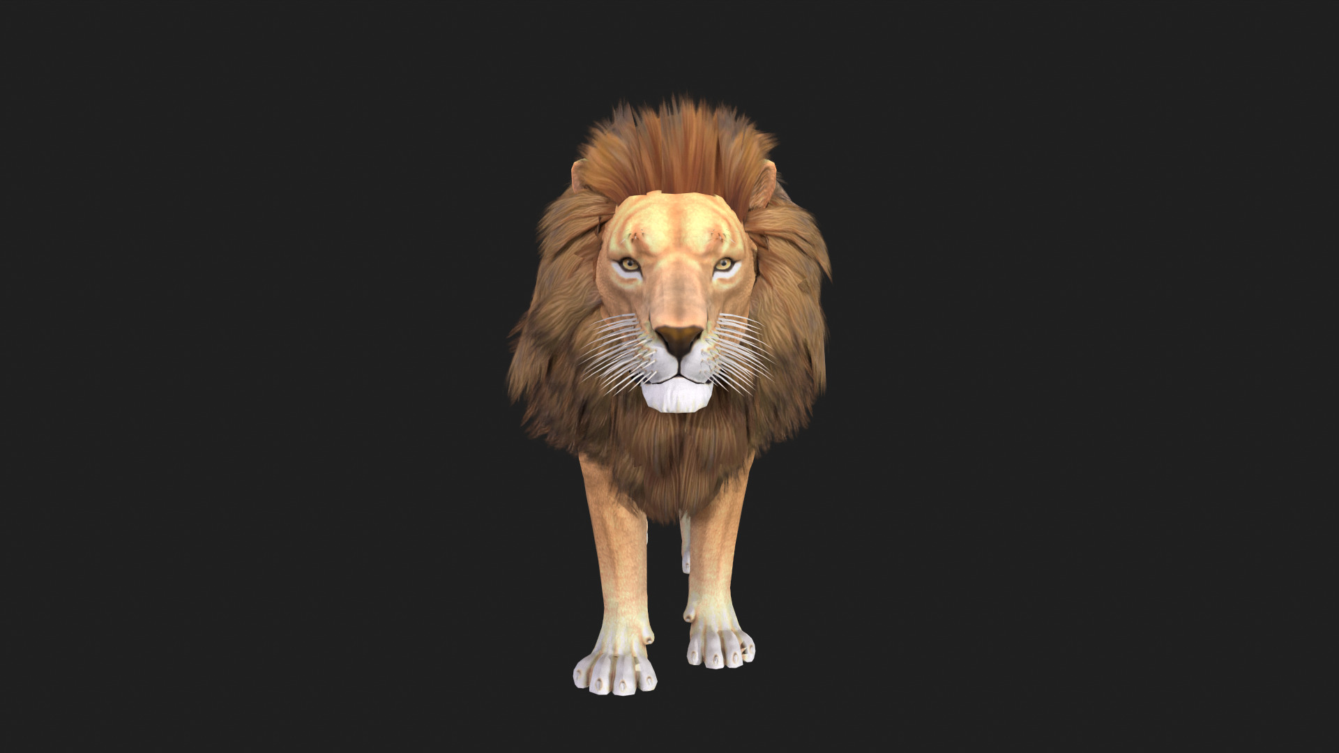 Realistic Lion Rigged and Animated for VR AR Games Low-poly 3D model_10