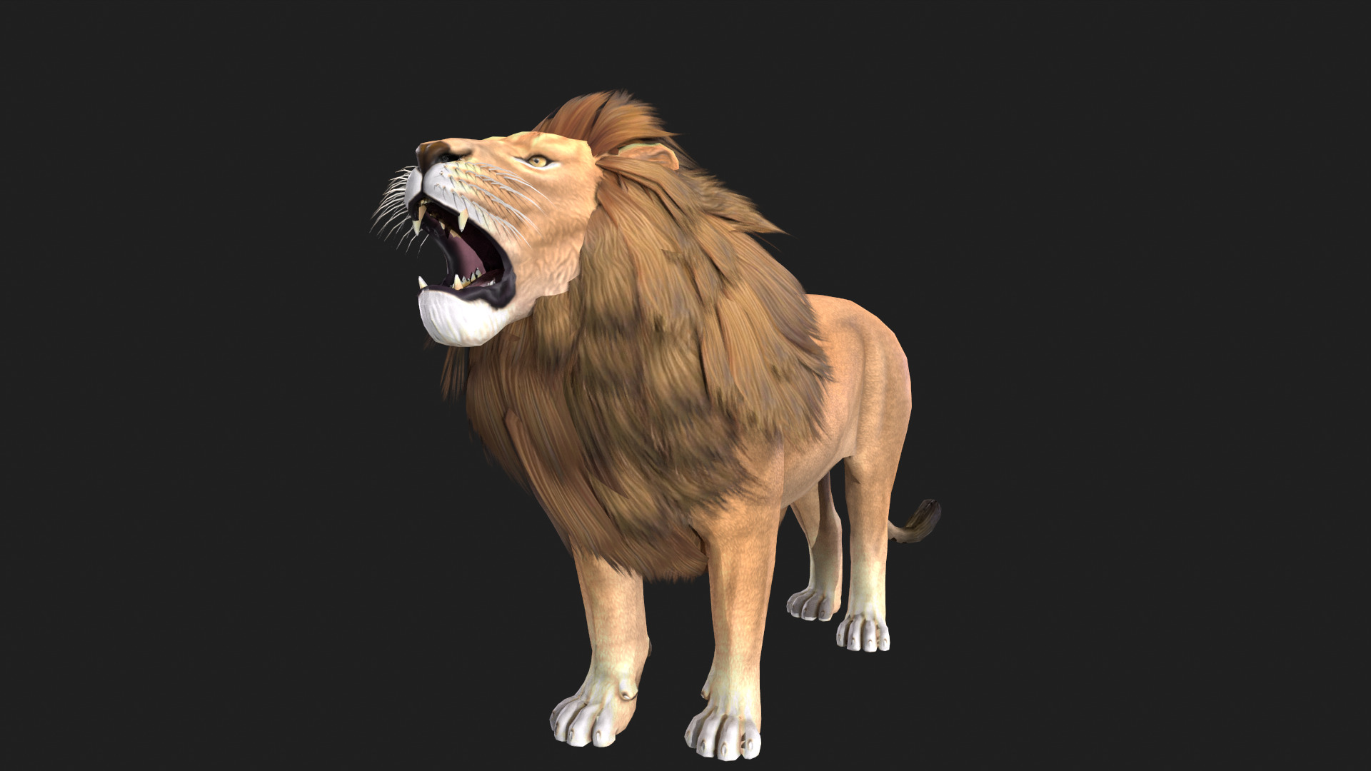 Realistic Lion Rigged and Animated for VR AR Games Low-poly 3D model_2
