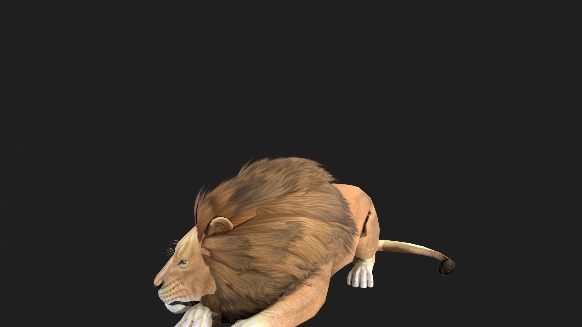 Realistic Lion Rigged and Animated for VR AR Games Low-poly 3D model_6