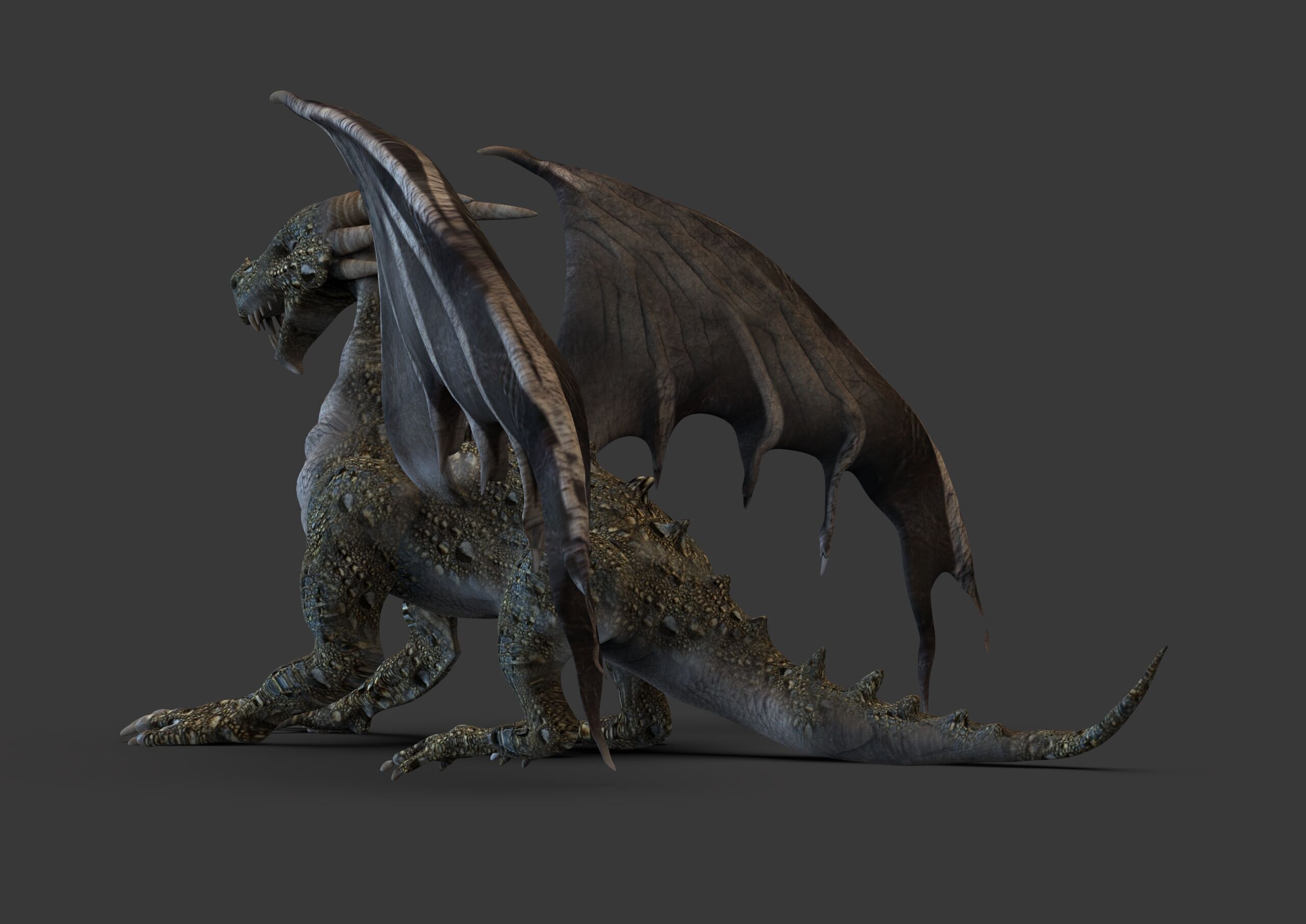 Dragon Low-poly 3D model_3