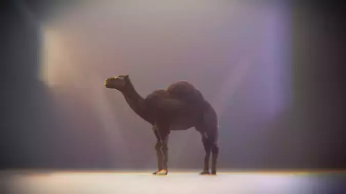 Realistic Camel Low-Poly 3D Model