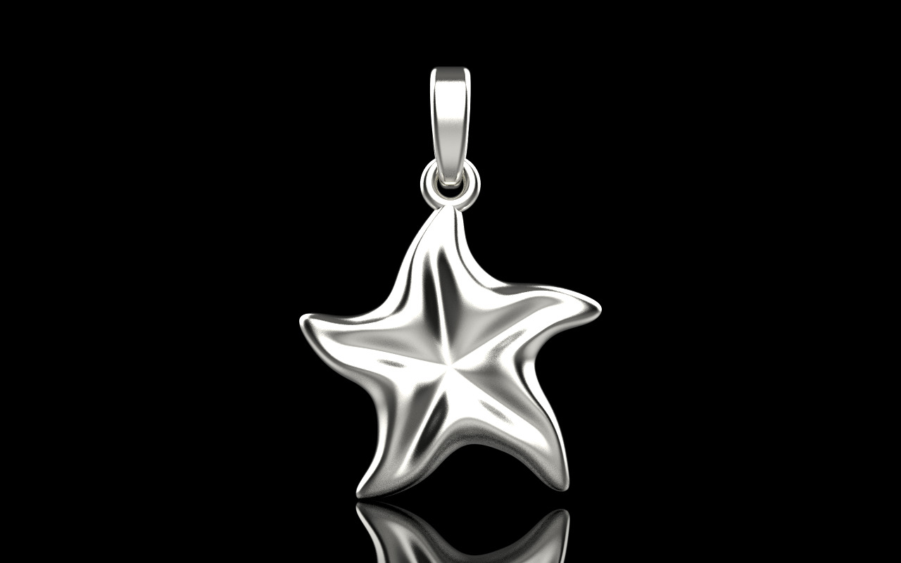 Starfish pendant model  1064 3D print model_13