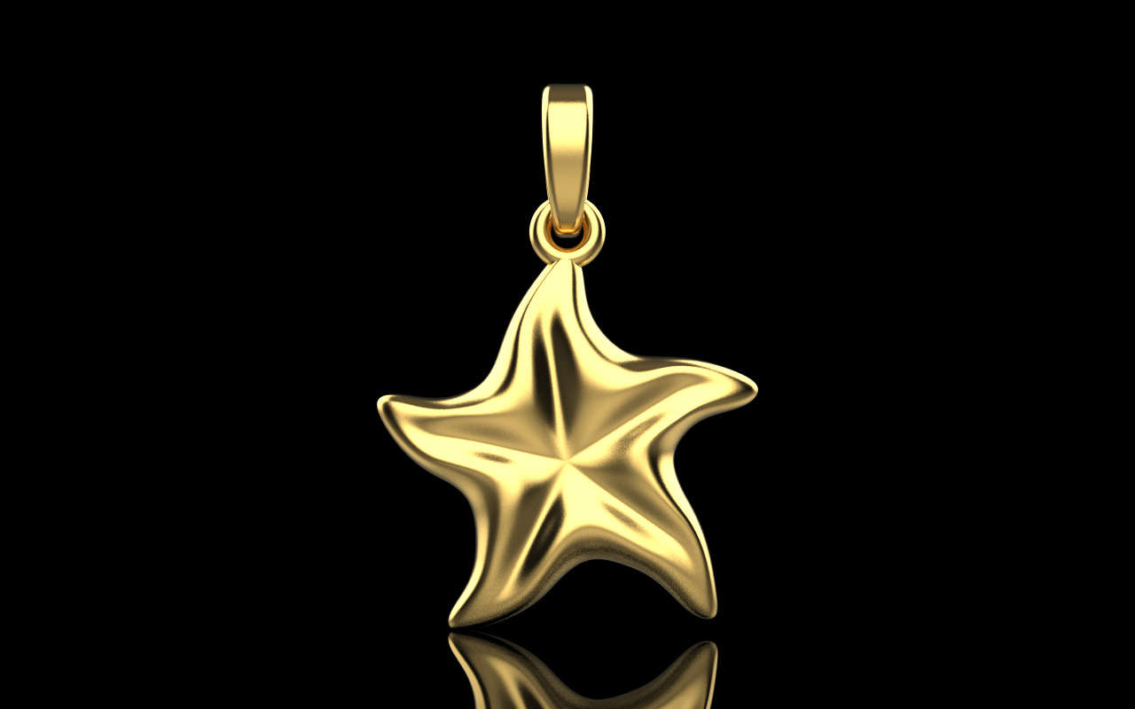 Starfish pendant model  1064 3D print model_9