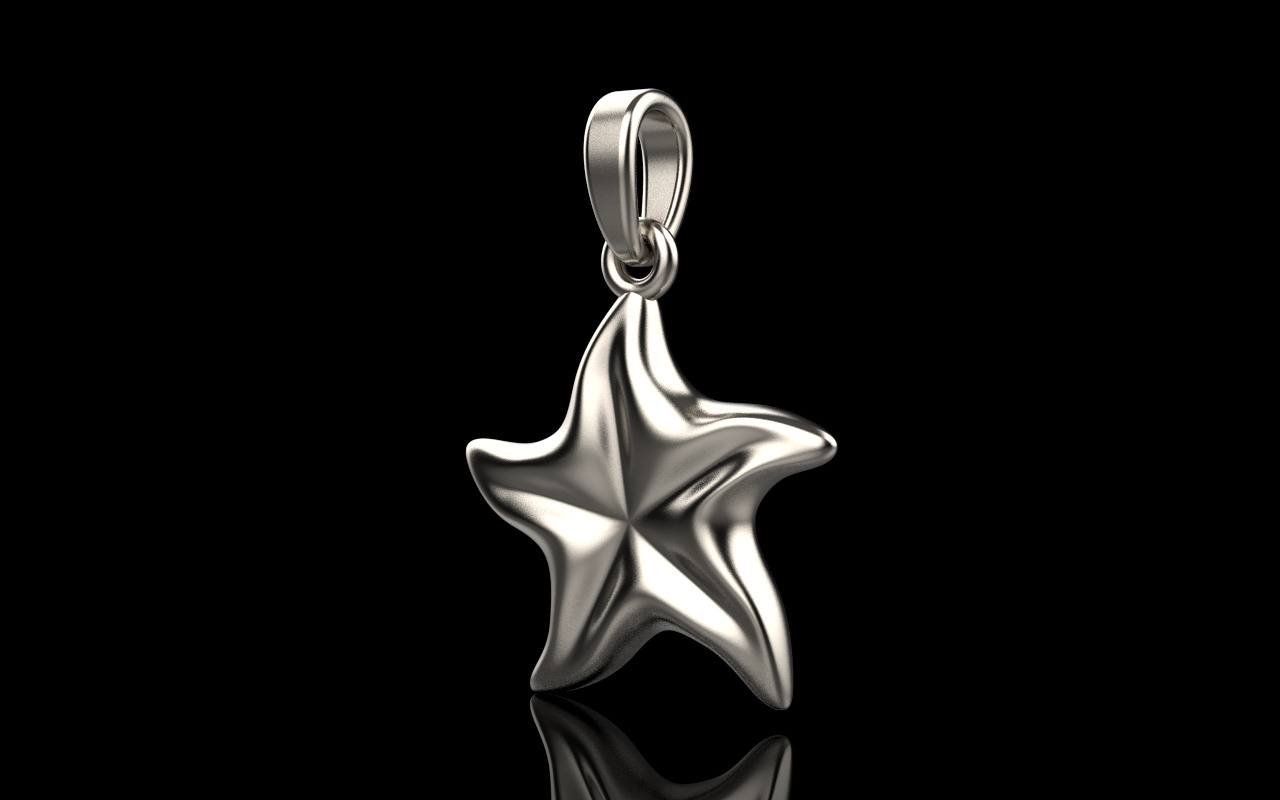 Starfish pendant model  1064 3D print model_2