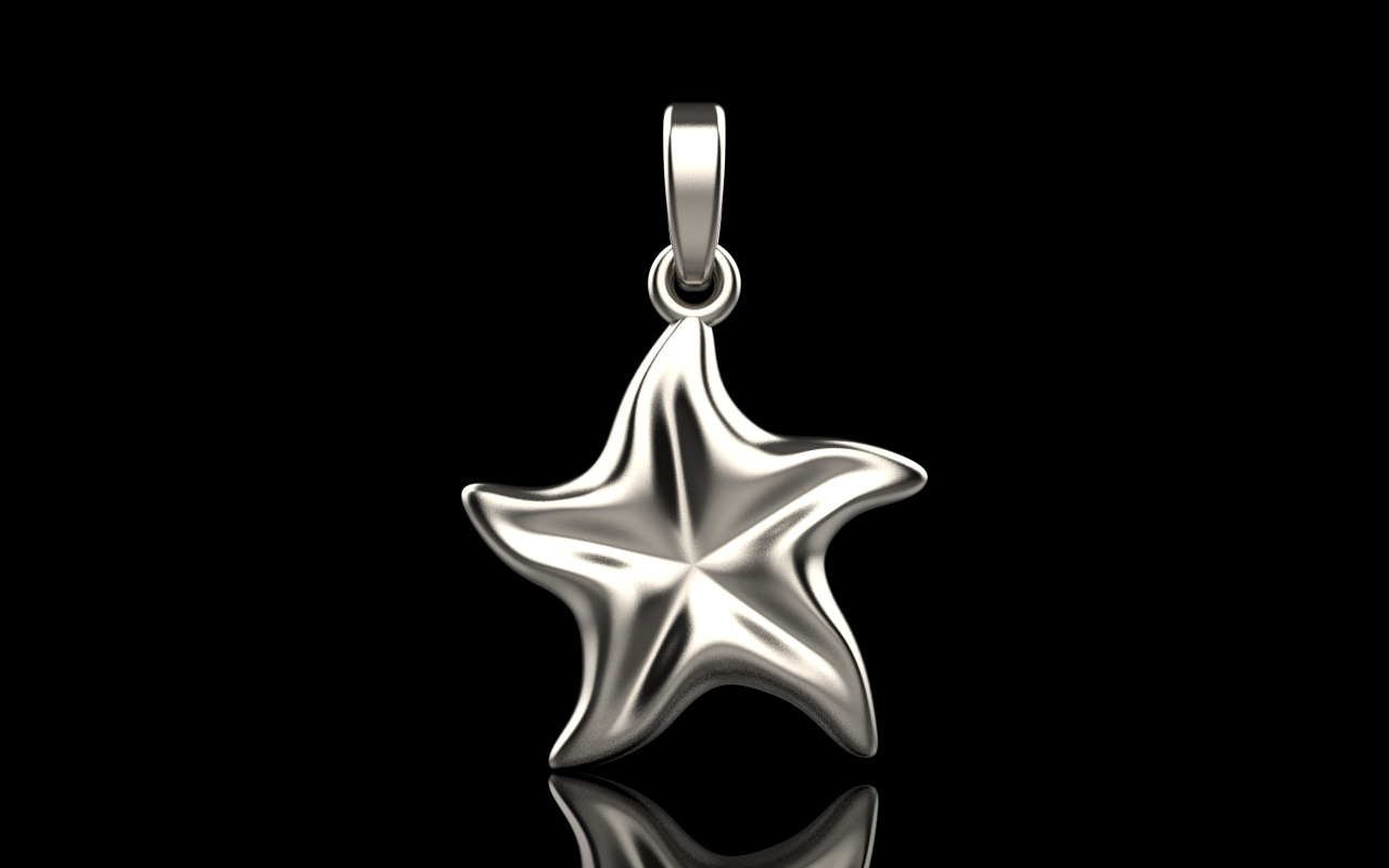 Starfish pendant model  1064 3D print model_11