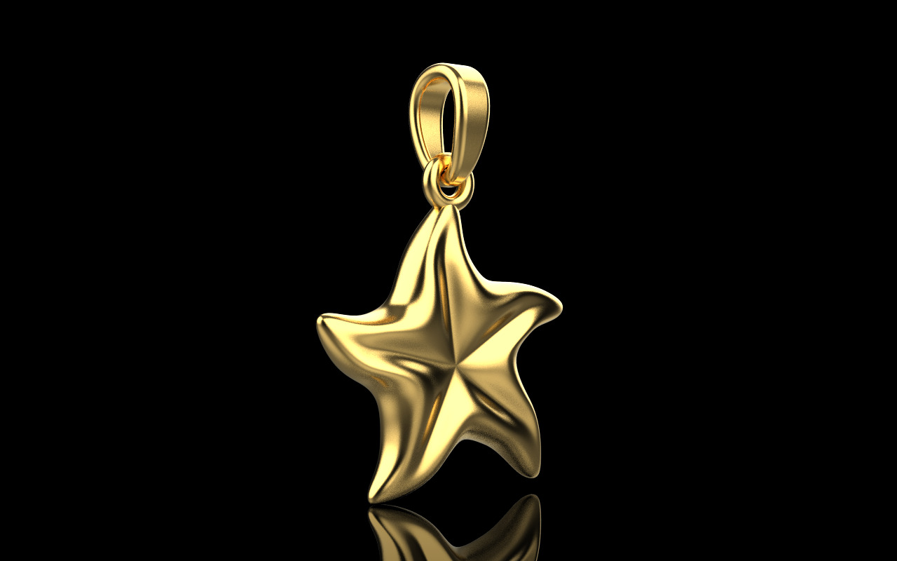 Starfish pendant model  1064 3D print model_14