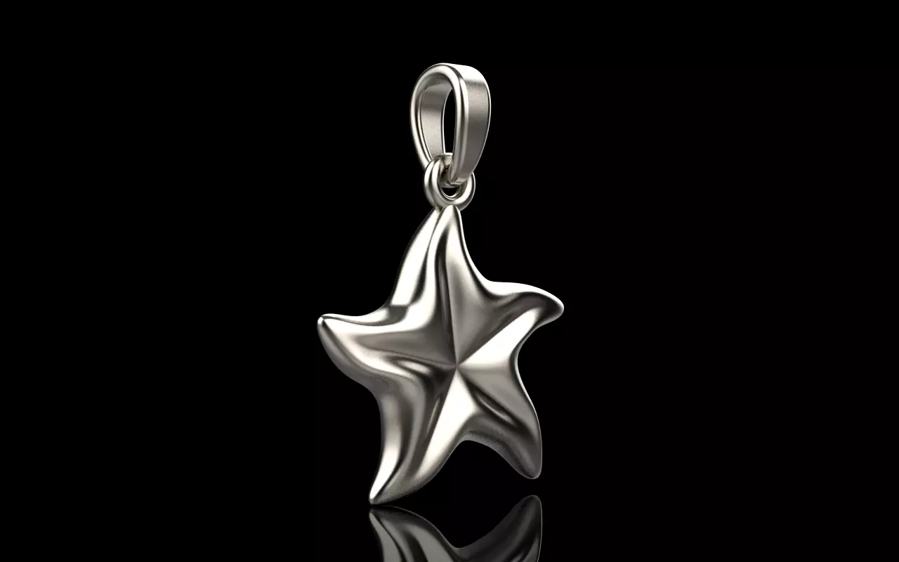 Starfish pendant model  1064 3D print model_0