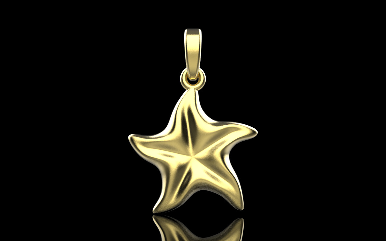 Starfish pendant model  1064 3D print model_10