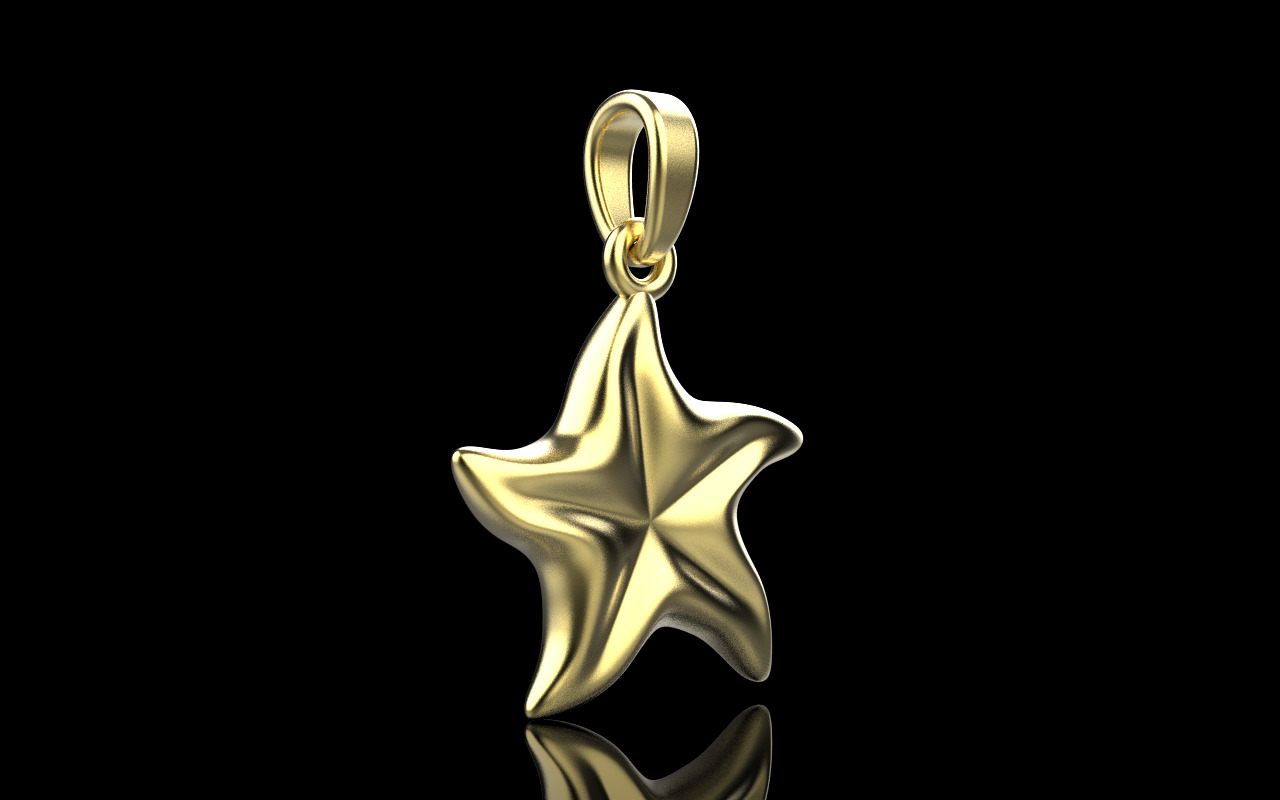 Starfish pendant model  1064 3D print model_15