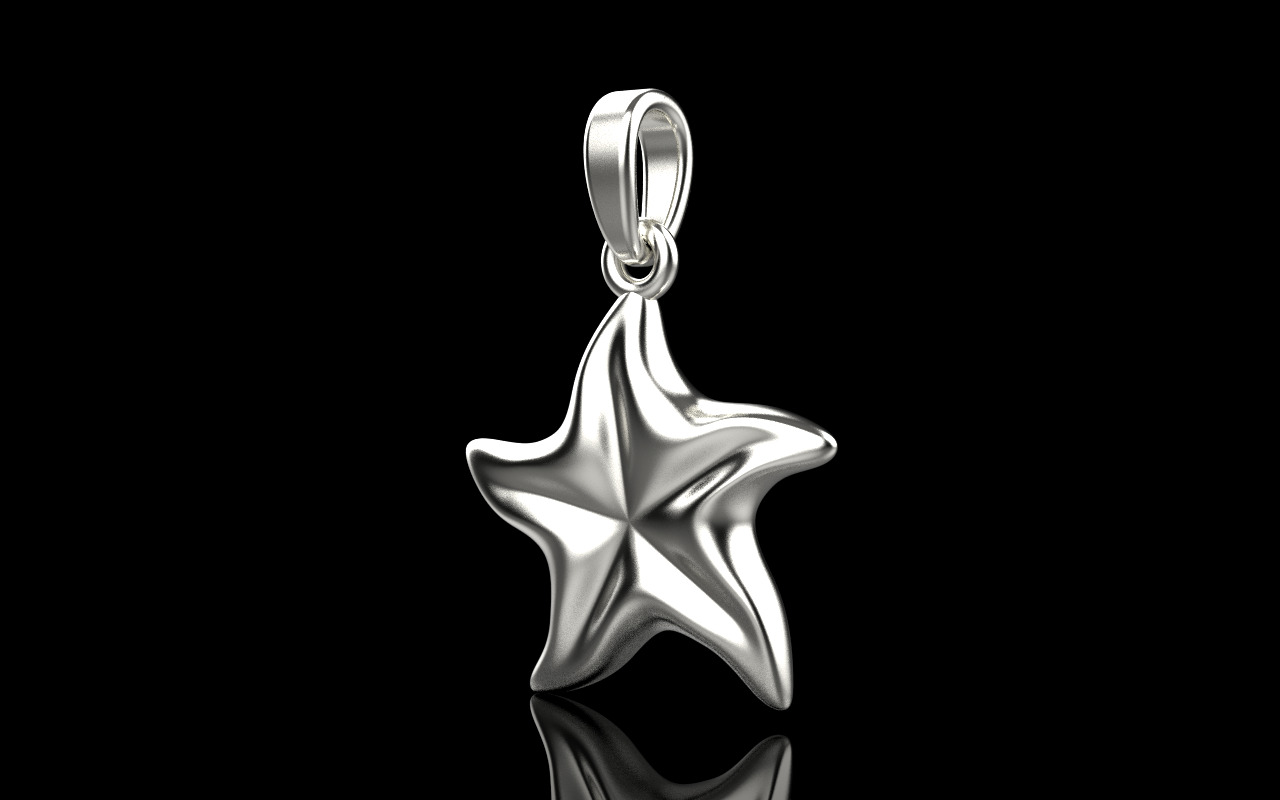 Starfish pendant model  1064 3D print model_23