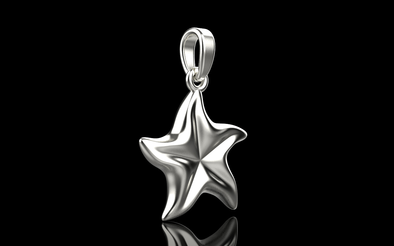 Starfish pendant model  1064 3D print model_18