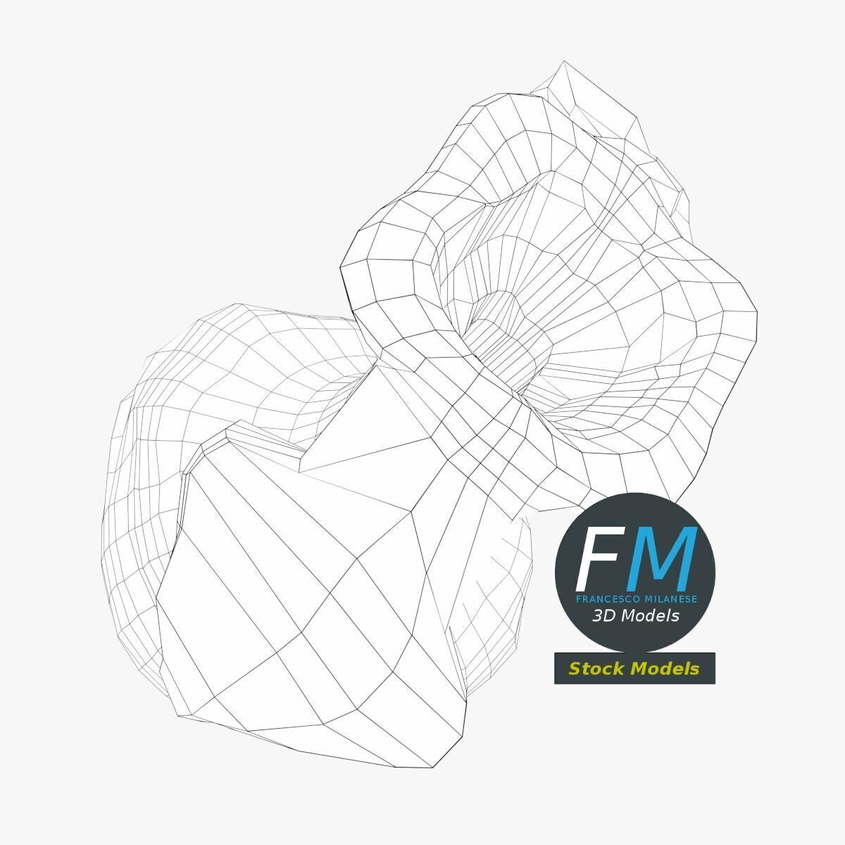 Ancient double handled amphora 3D model_8