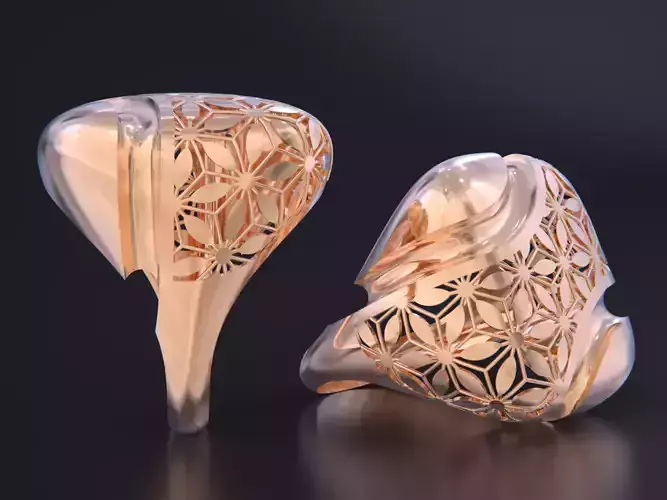 Fusion ring 3D print model