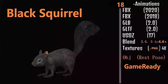 Black Squirrel