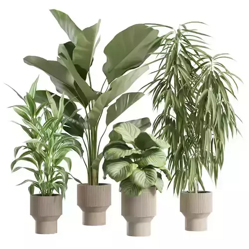 Indoor Plants Pack 92