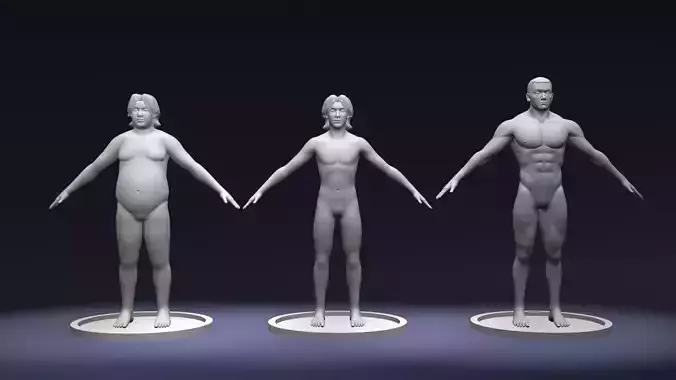 Stylized Male Body Base Mesh Variations 3D Model Collection