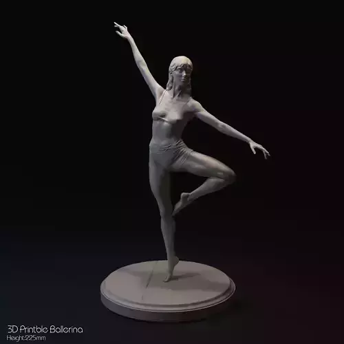 Elegant Ballerina-Naked woman