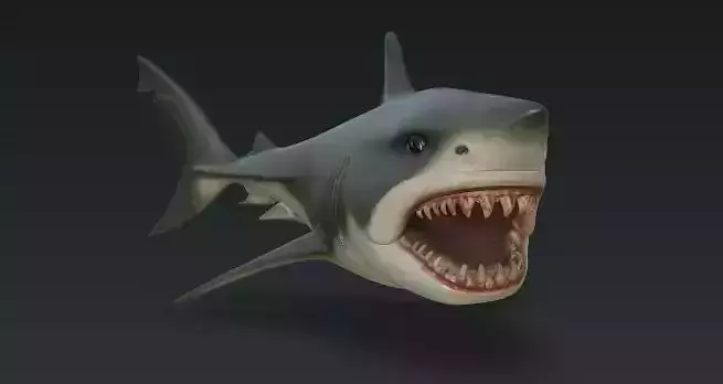 Shortshark