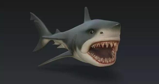 Shortshark 3D model_0