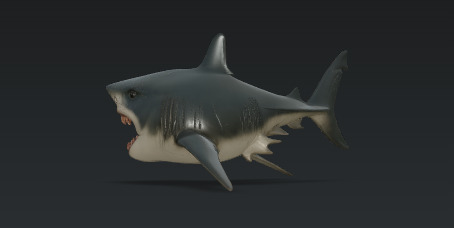 Shortshark 3D model_3