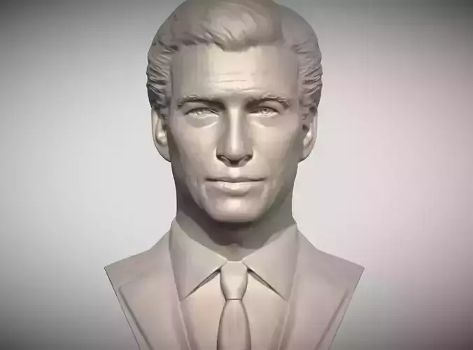 James Bond Pierce Brosnan bust  3D print model