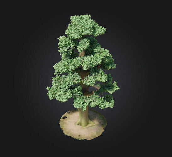 Realistic Conifer Tree 3D Model Perfect for Games Visualizations 3D model