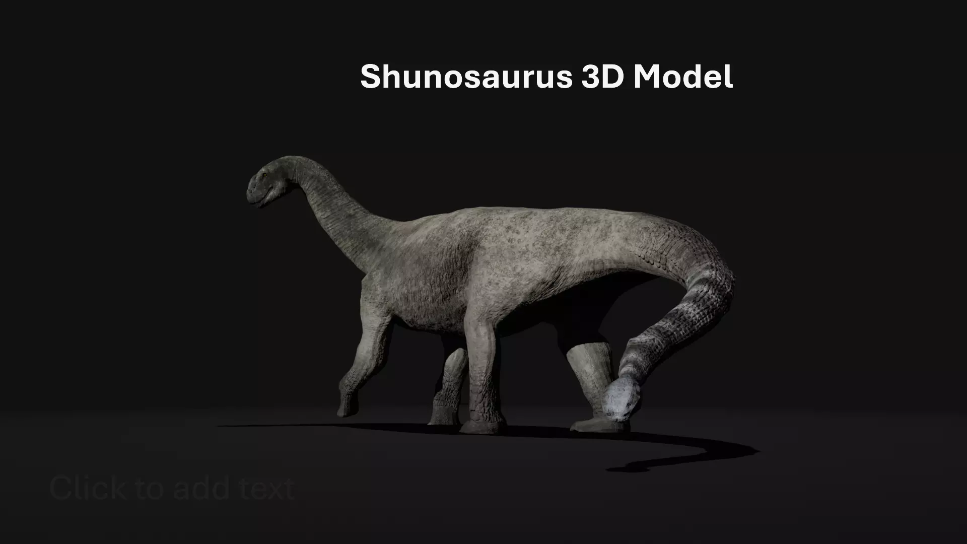 Shunosaurus Realistic 3D Model Low-poly 3D model