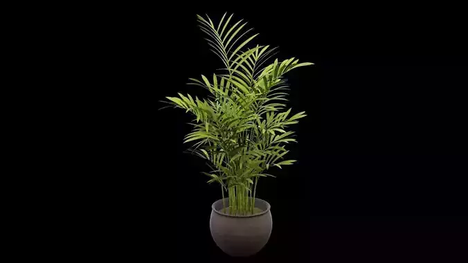 Plant Pot Low-poly 3D model