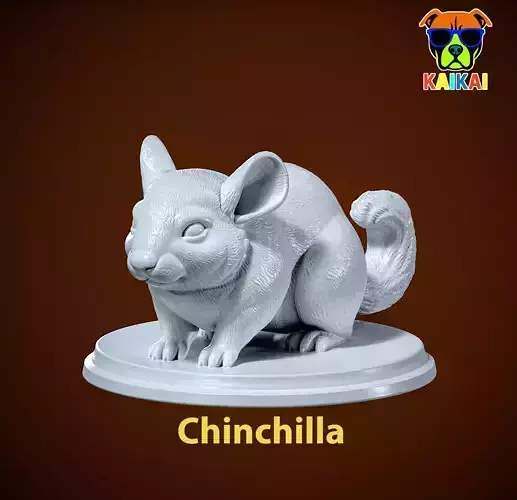Chinchilla model urban vibes