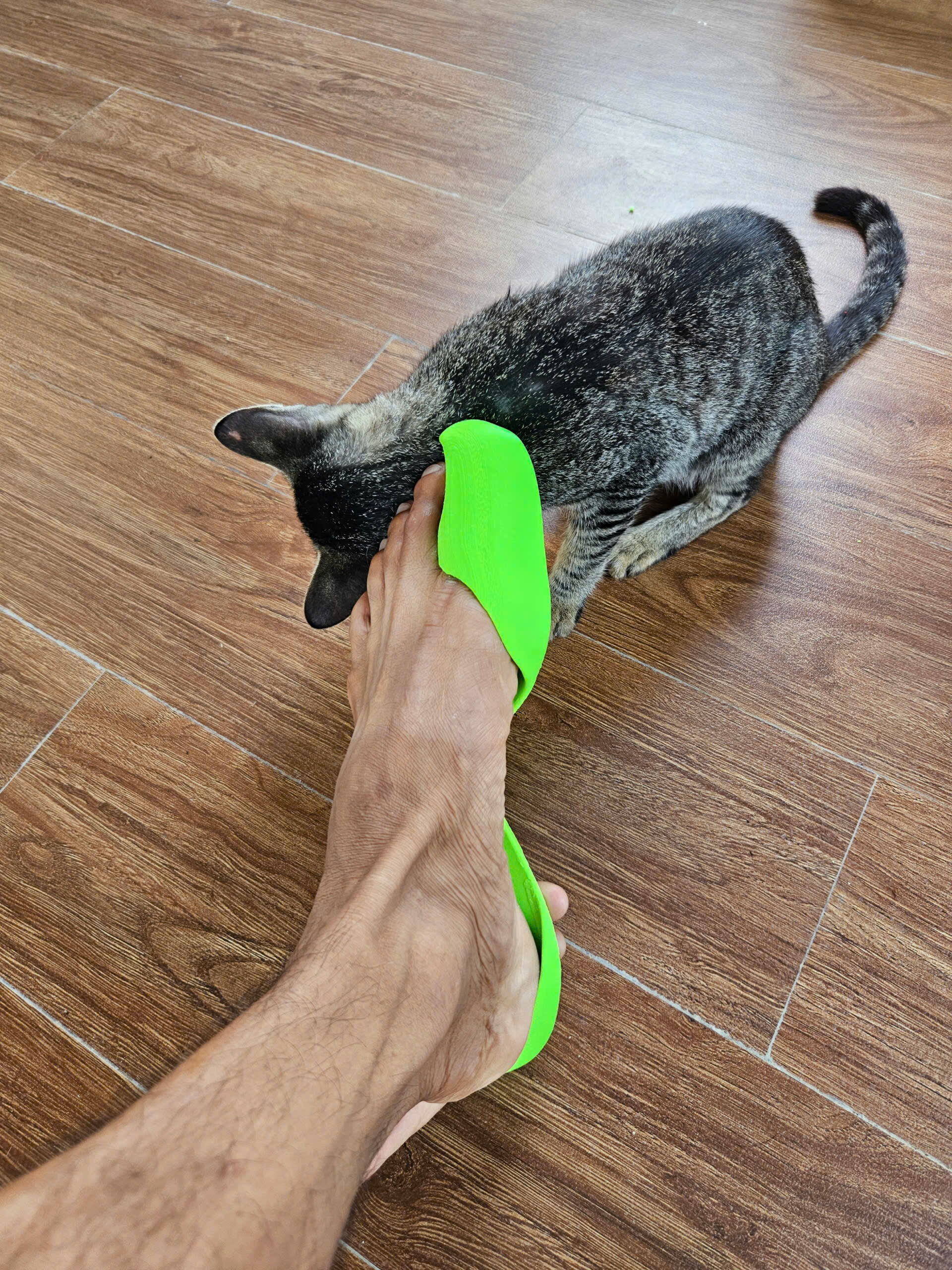 Balenciaga flip-flop Barefoot Zero shoes 3D print model_2