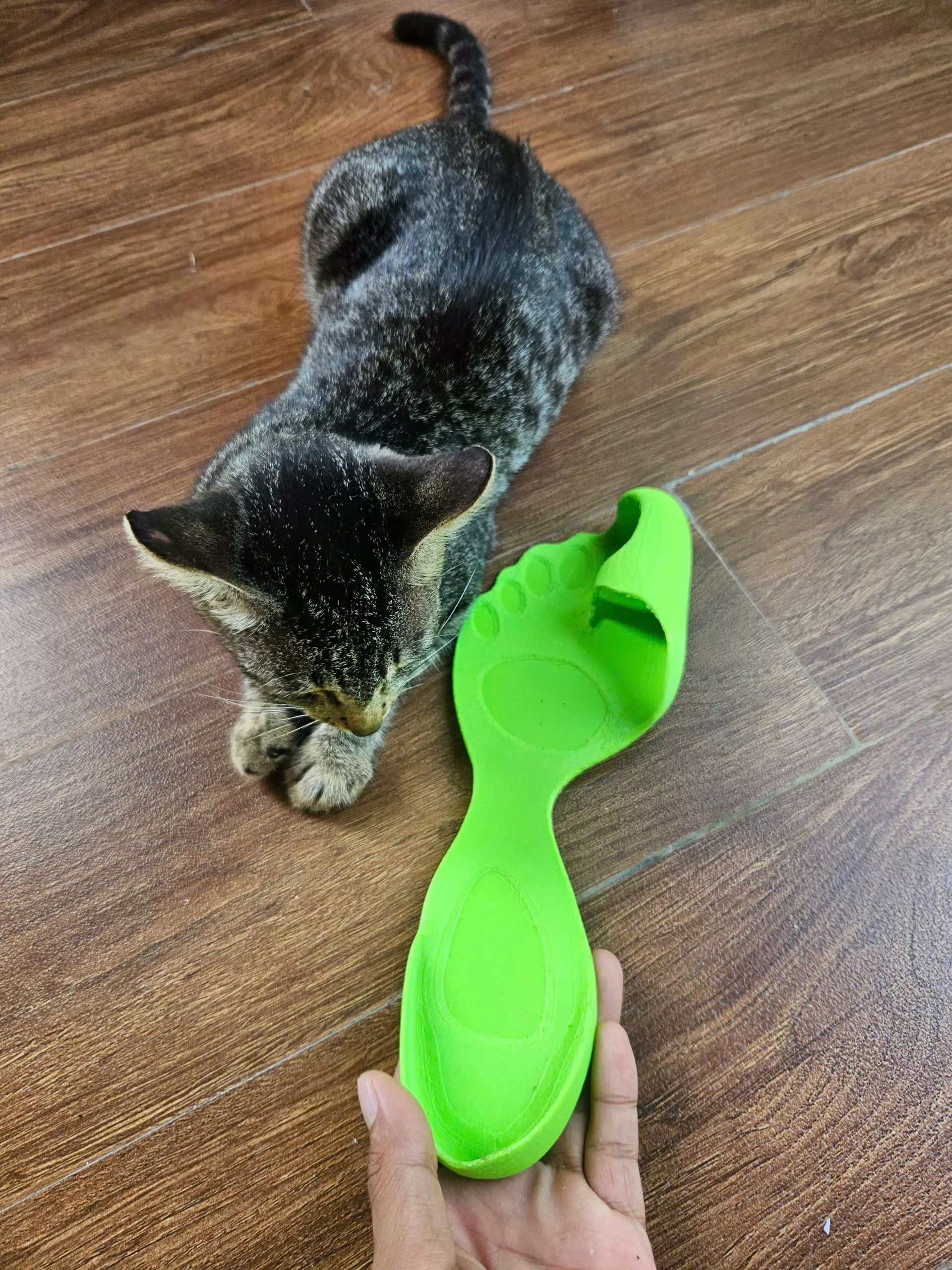 Balenciaga flip-flop Barefoot Zero shoes 3D print model_0