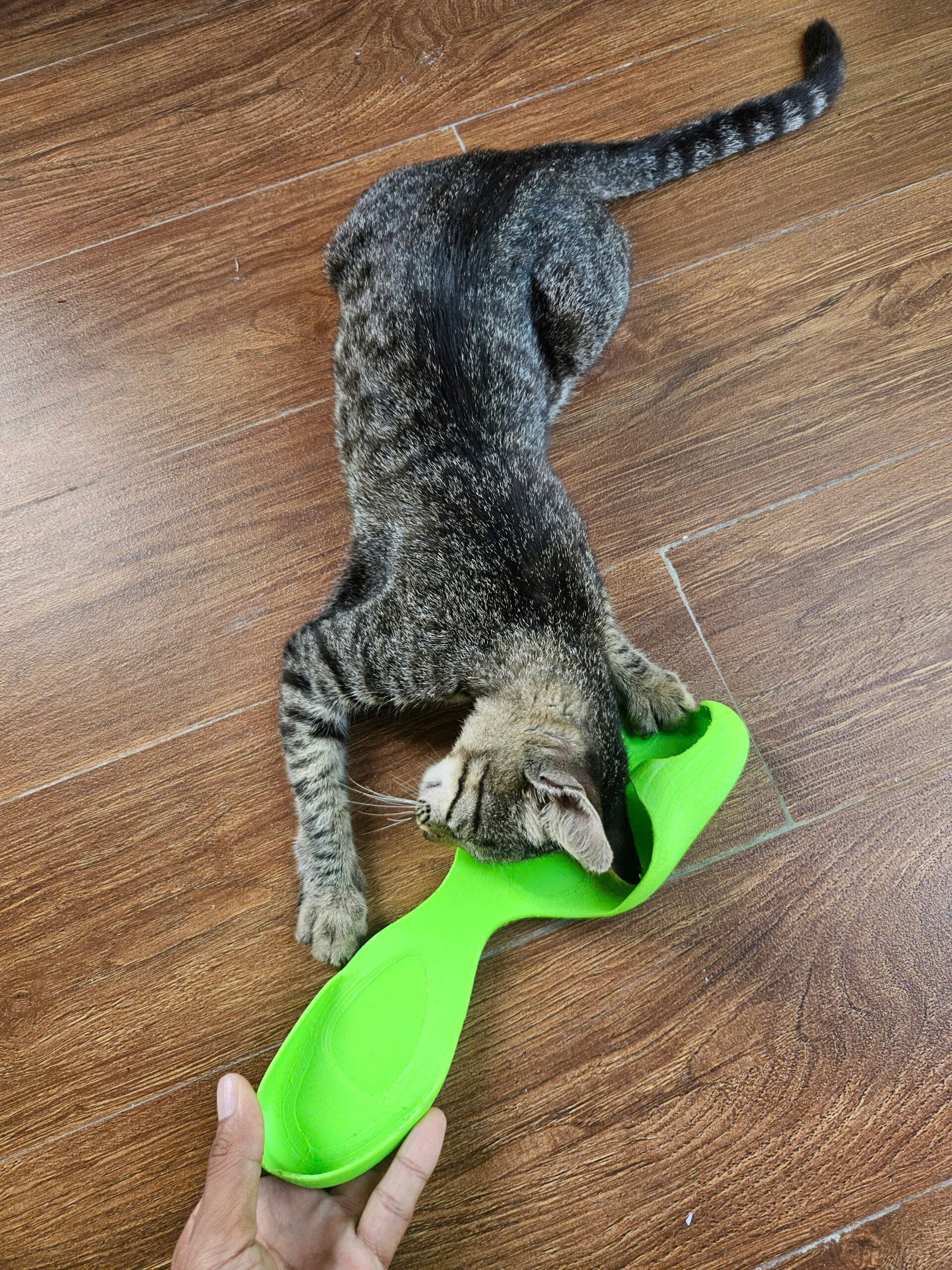 Balenciaga flip-flop Barefoot Zero shoes 3D print model_3