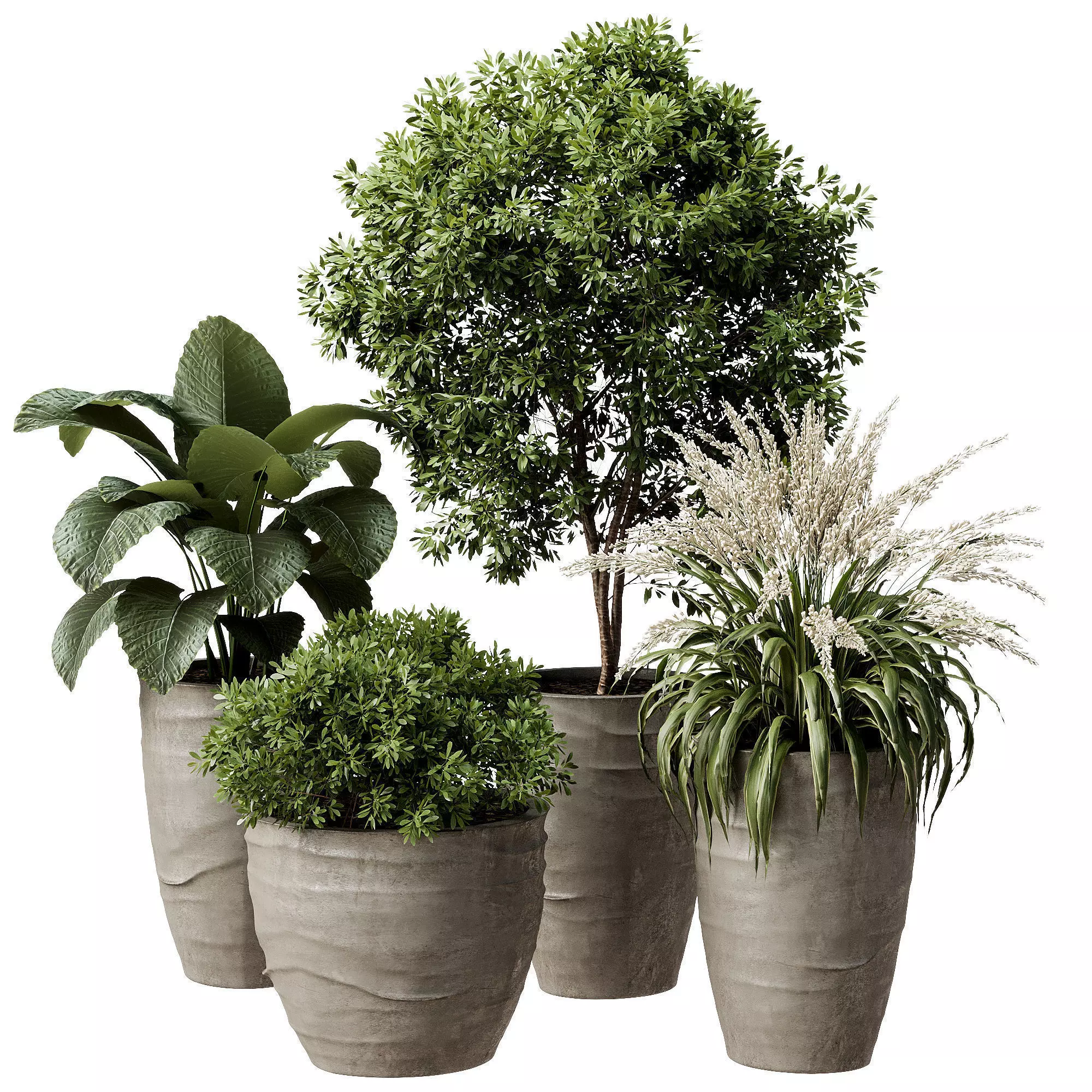 Outdoor Plant 42 3D model