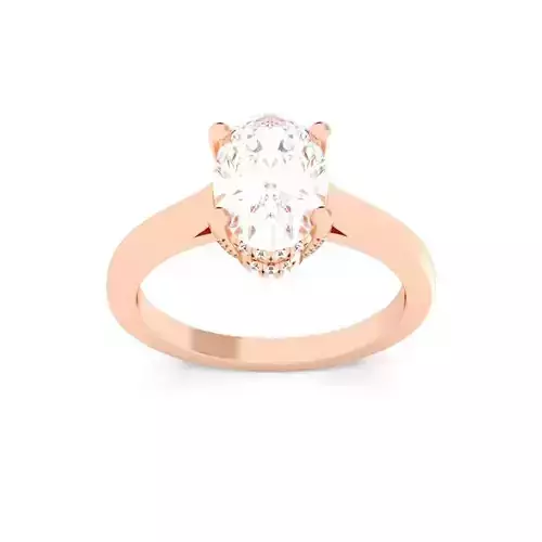 OVAL Cut Hidden Halo Engagement Ring