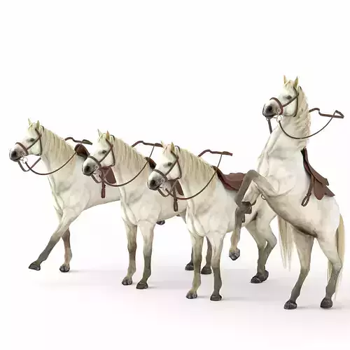 Realistic Horse 3D Model - With Bridle 