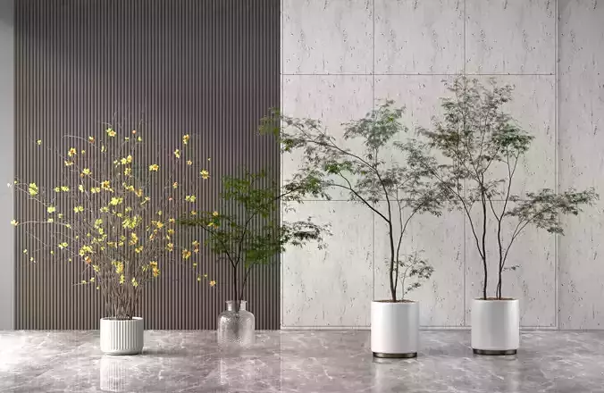 Indoor Potted Plants Set 