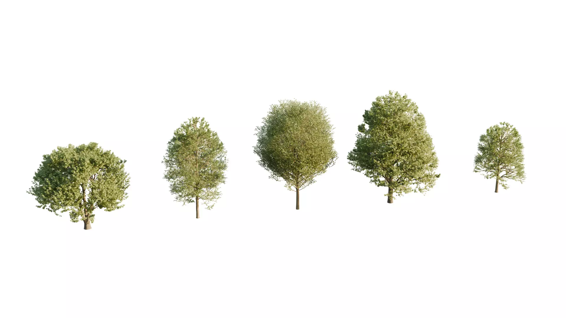 Free Tree pack Free low-poly 3D model