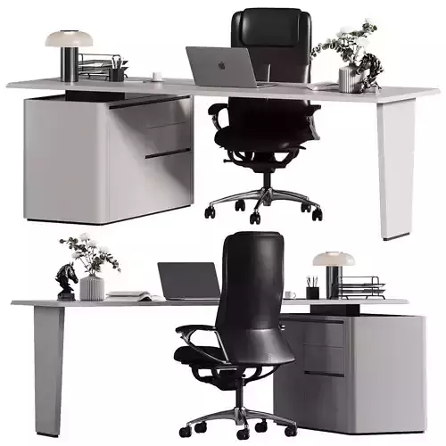 Office Furniture Manager set 29