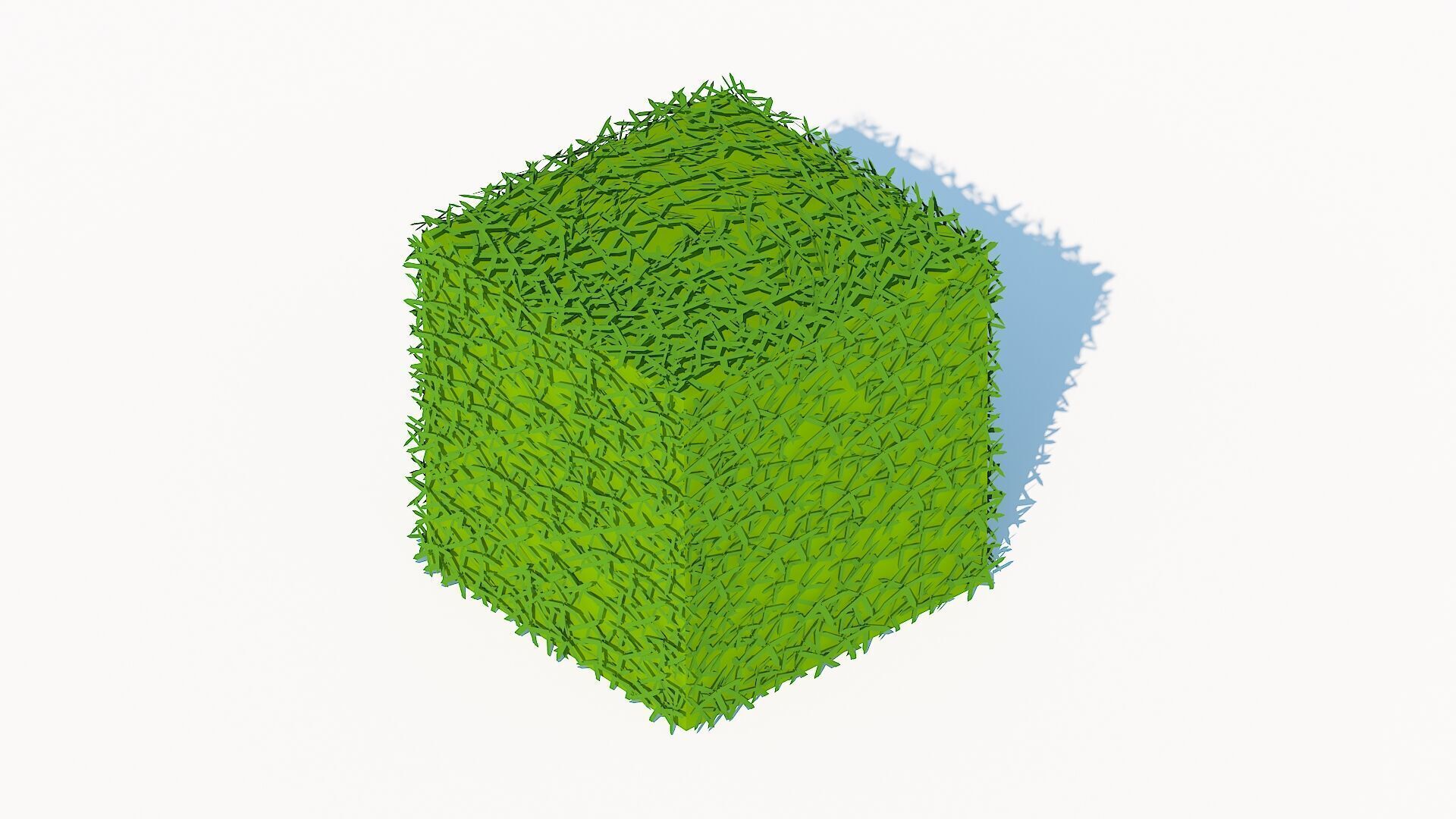 Taxus Media-Square Low-poly 3D model_2