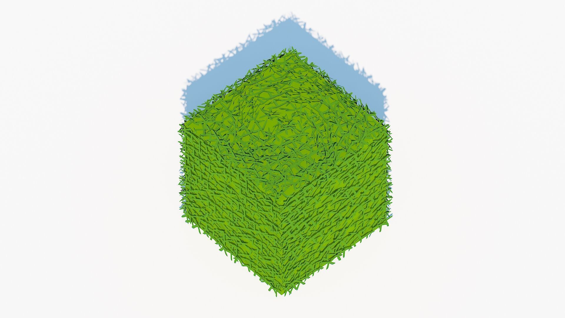 Taxus Media-Square Low-poly 3D model_4