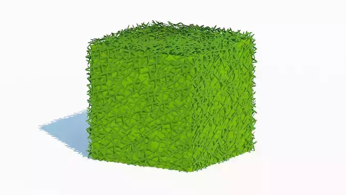 Taxus Media-Square Low-poly 3D model