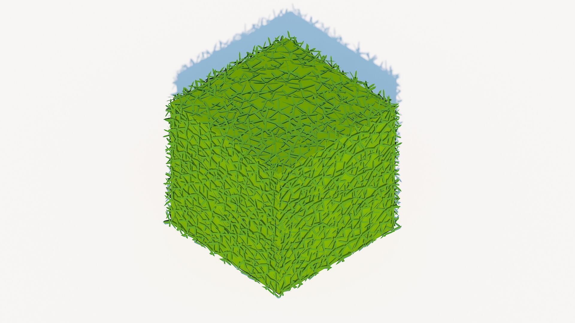 Taxus Media-Square Low-poly 3D model_4