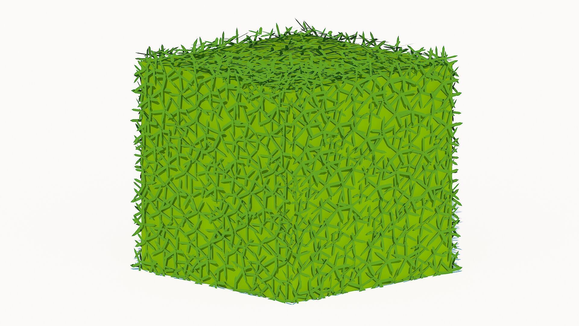 Taxus Media-Square Low-poly 3D model_2