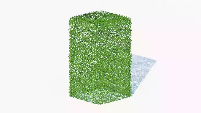 Taxus Media-Upright Low-poly 3D model