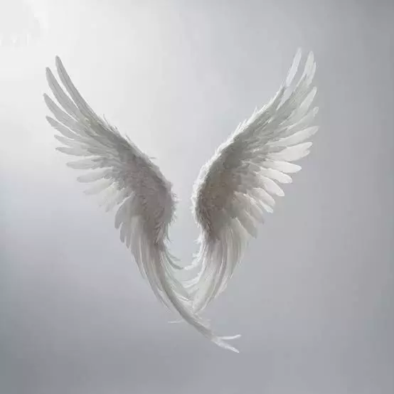 Angel wings Low-poly 3D model