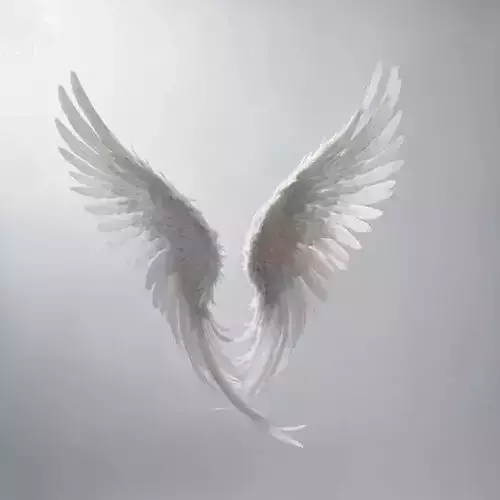 Angel wings  Low-poly 3D model