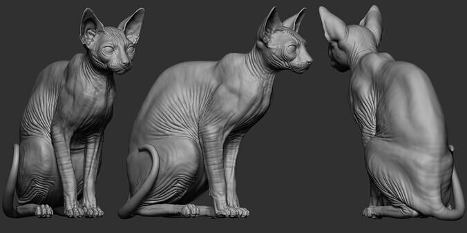 Sphynx cat 3D print model