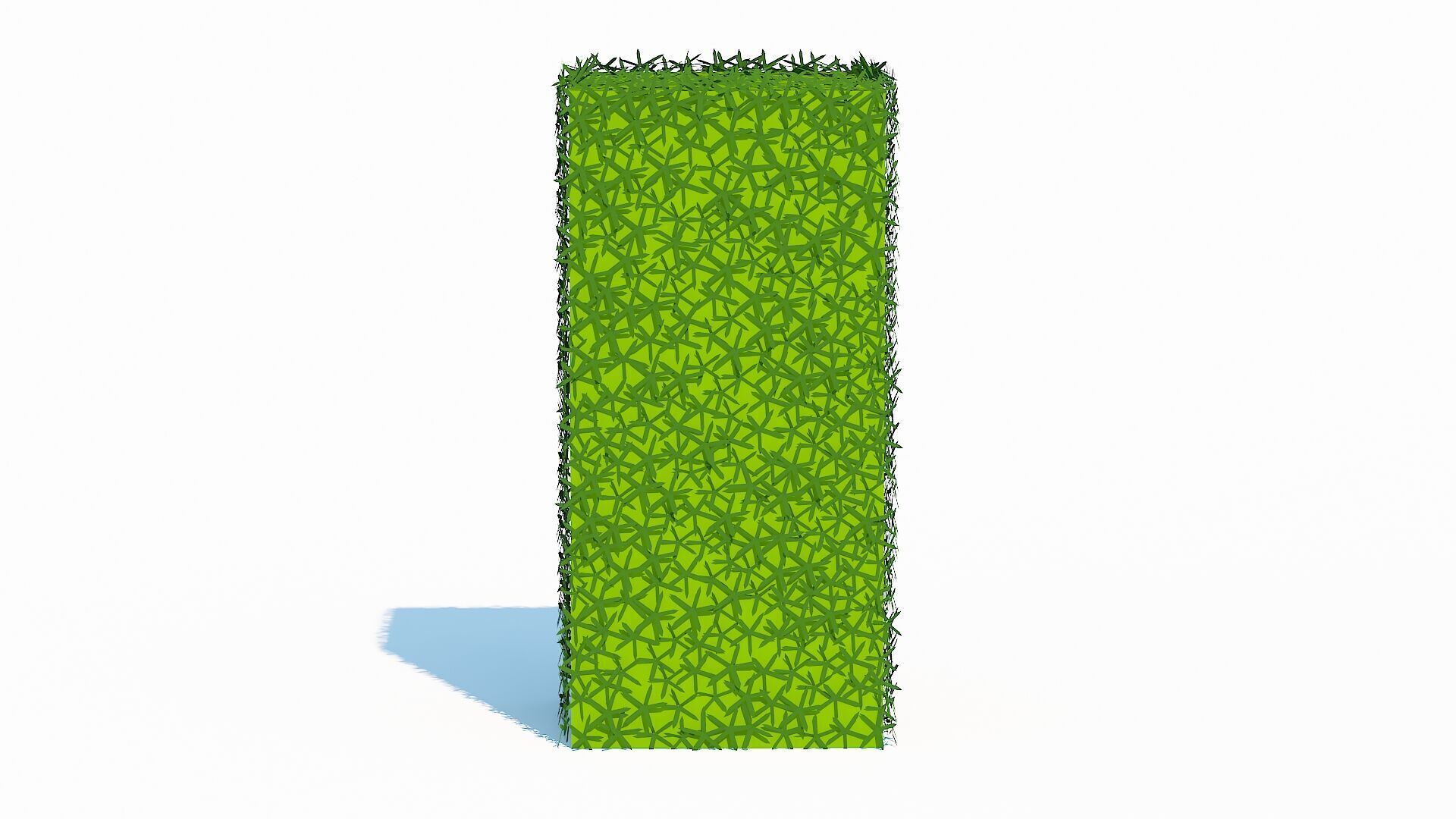 Taxus Media-Upright Low-poly 3D model_3