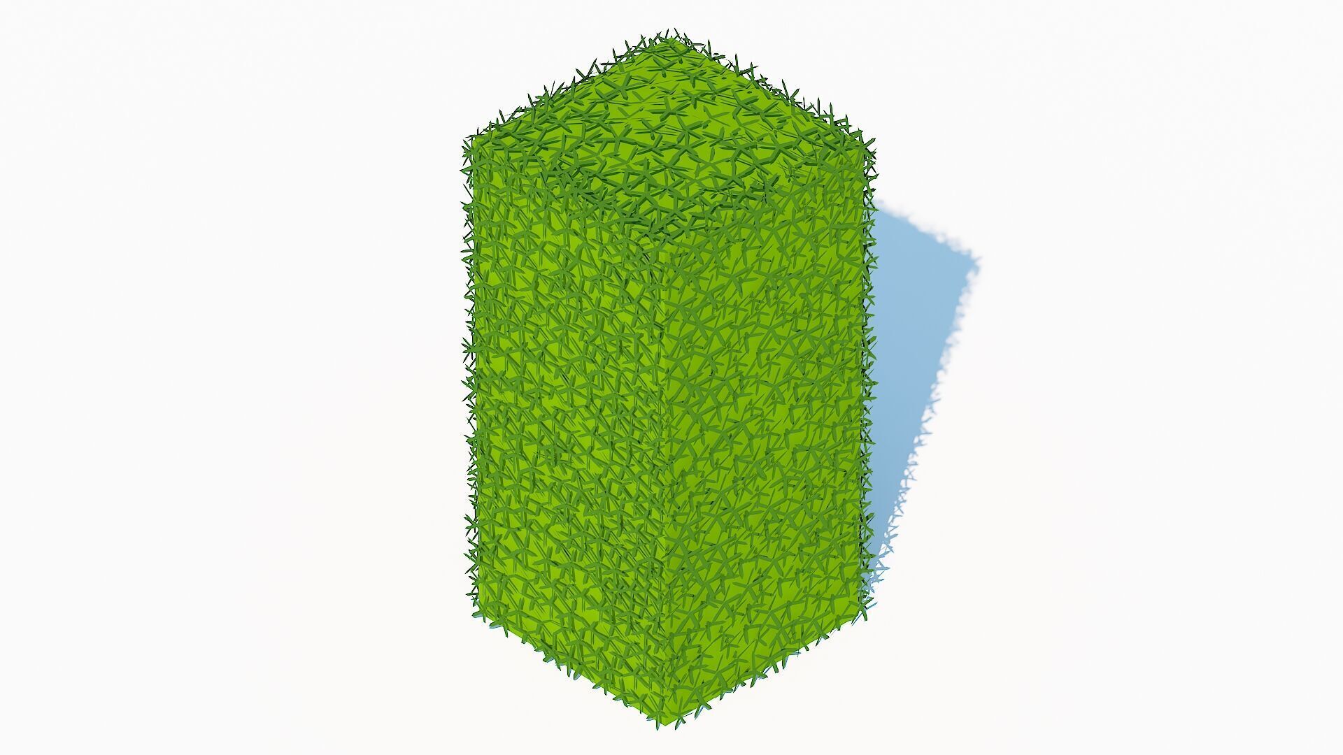 Taxus Media-Upright Low-poly 3D model_2